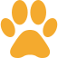 astuces et conseils pour chien